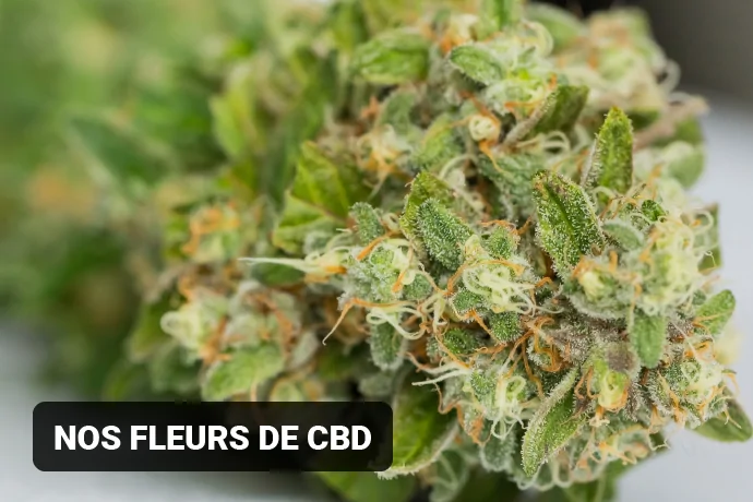 FLEUR DE CBD 